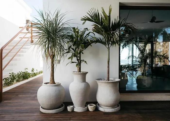 5br Exclusive Beachfront With Pool In Tulum Villa